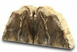 Polished Petrified Wood Bookends - Washington #274866-1